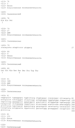 Антитела против gdf8 человека (патент 2567805)