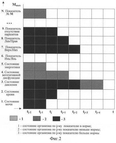 Способ визуального отображения и динамического анализа состояния живого организма (патент 2285950)