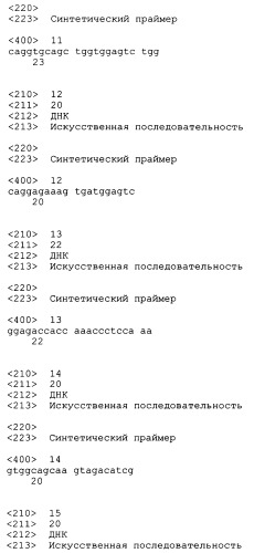 Трансгенные копытные животные, имеющие пониженную активность прионного белка, и их применения (патент 2384059)