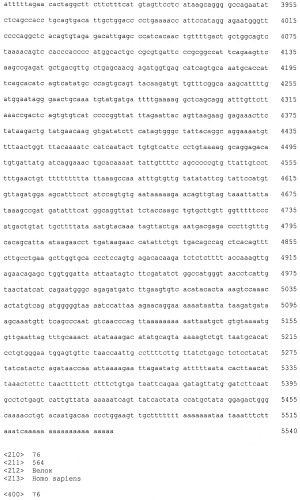 Пептиды тем8 и содержащие их вакцины (патент 2498993)