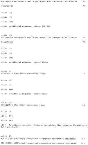 Бактерия - продуцент продукта реакции, катализируемой белком, обладающим активностью 2-оксоглутарат-зависимого фермента, и способ продукции указанного продукта (патент 2444568)