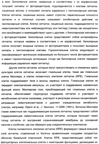 Соединения, представляющие собой алкинилфенильные производные, для лечения офтальмических заболеваний и расстройств (патент 2470910)