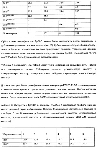 Способ получения полиненасыщенных кислот жирного ряда в трансгенных организмах (патент 2447147)