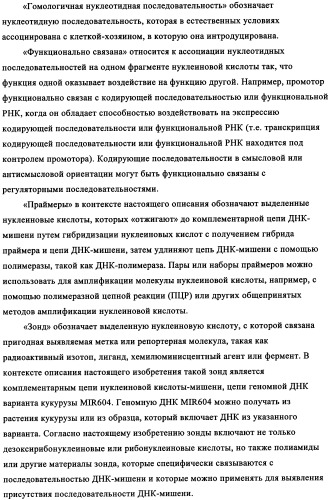 Вариант кукурузы mir604 (патент 2351122)