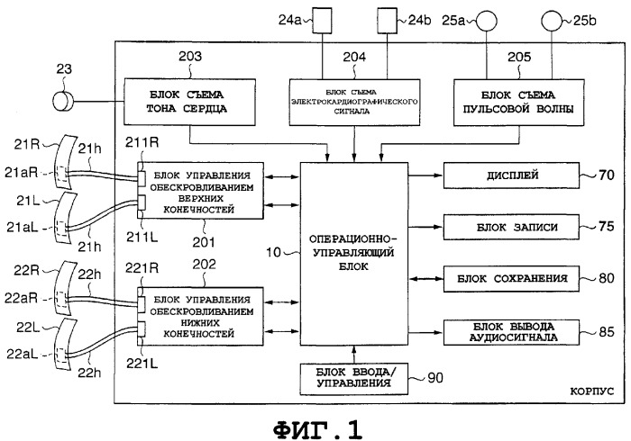 Устройство и способ вывода биоинформации и биоинформационного отчета (патент 2346650)