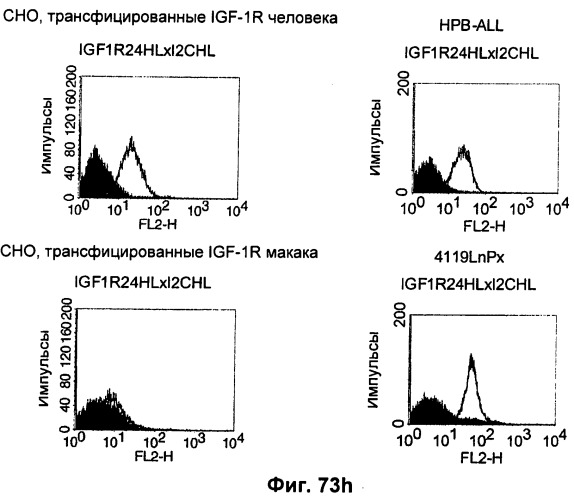 Pscaxcd3, cd19xcd3, c-metxcd3, эндосиалинxcd3, epcamxcd3, igf-1rxcd3 или fap-альфаxcd3 биспецифическое одноцепочечное антитело с межвидовой специфичностью (патент 2547600)