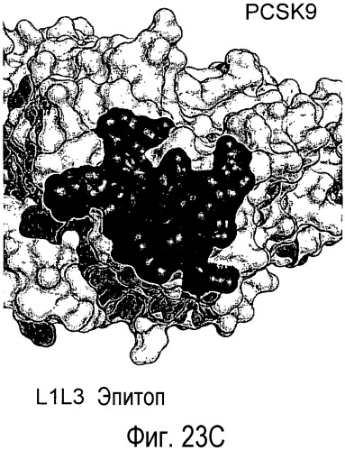 Антагонисты pcsk9 (патент 2528735)