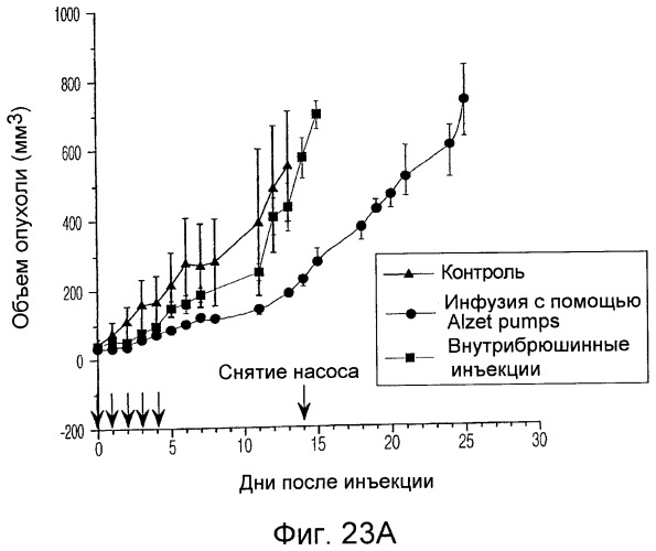 Усиление действия противораковых агентов (патент 2422143)