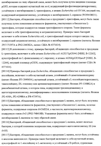 Использование фосфокетолазы для продукции полезных метаболитов (патент 2322496)