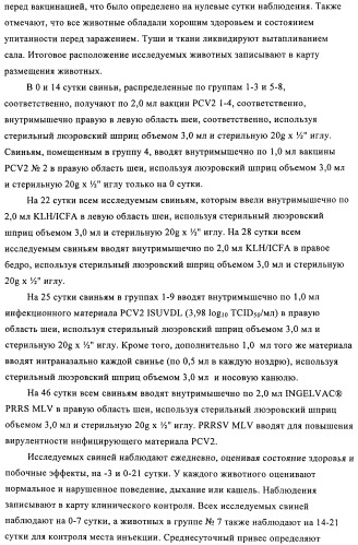 Поливалентные иммуногенные композиции pcv2 и способы получения таких композиций (патент 2488407)