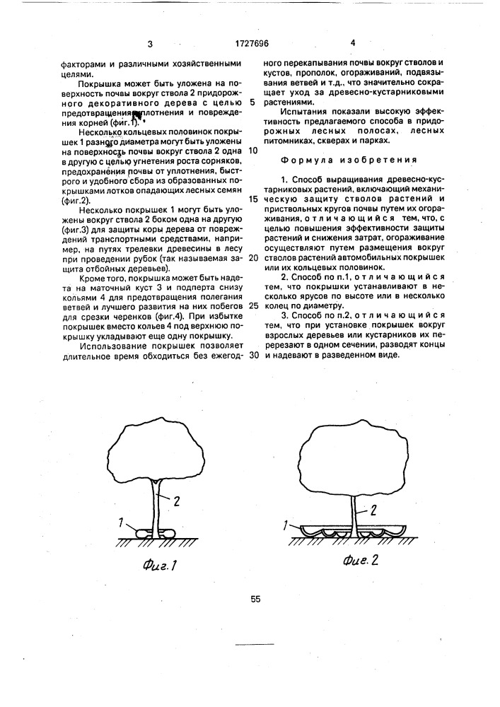 Способ выращивания древесно-кустарниковых растений (патент 1727696)