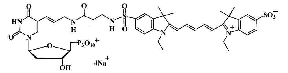 Дезоксиуридинтрифосфаты, связанные с цианиновыми красителями сульфамидоалкильными линкерами, для использования в пцр (патент 2667070)