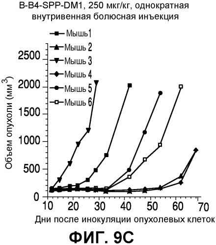 Применения иммуноконъюгатов, мишенью которых является cd138 (патент 2561041)