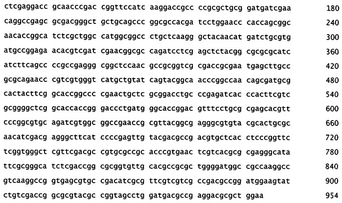 Мутантные о-фосфосеринсульфгидрилазы и способ получения цистеина с их применением (патент 2541782)