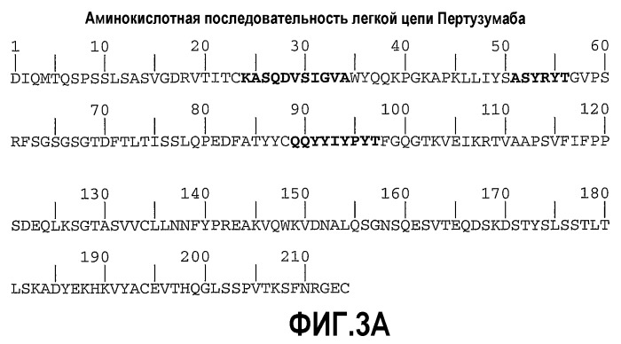 Композиция антител к her2 (патент 2361880)