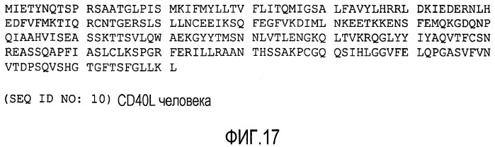 Композиция днк для вызова иммунного ответа против опухолеассоциированных макрофагов (патент 2459631)