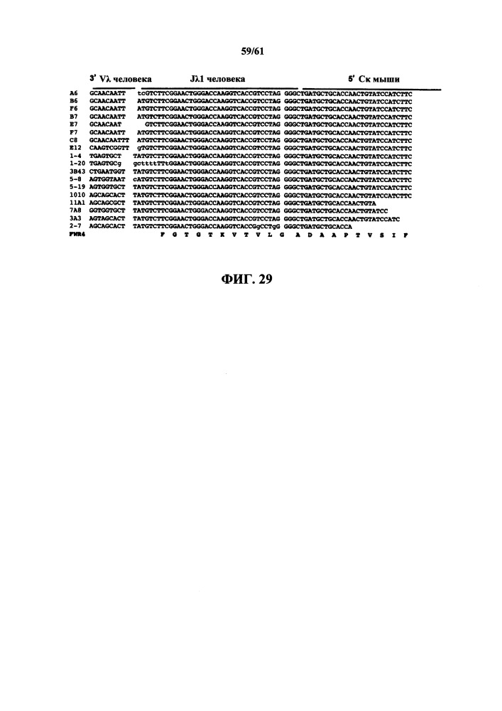 Мыши с гуманизированной легкой цепью (патент 2664181)