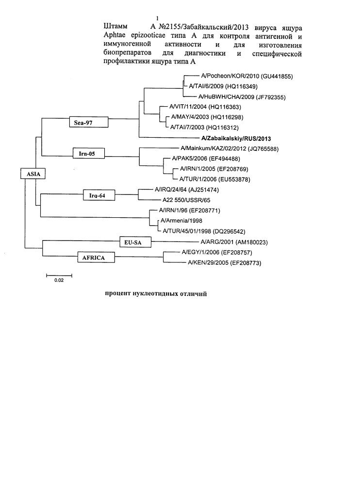 Штамм а n2155/забайкальский/2013 вируса ящура aphtae epizooticae типа а для контроля антигенной и иммуногенной активности и для изготовления биопрепаратов для диагностики и специфической профилактики ящура типа а (патент 2603255)