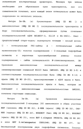 Поликлональное антитело против nogo, фармацевтическая композиция и применение антитела для изготовления лекарственного средства (патент 2432364)