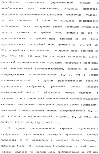 Гены corynebacterium glutamicum, кодирующие белки метаболических путей (патент 2306339)