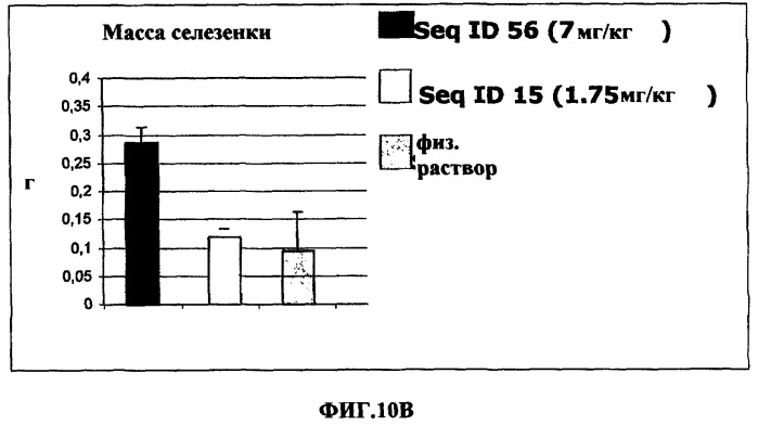 Олигомерное соединение, понижающее экспрессию человеческого гена bcl-2, конъюгат, фармацевтическая композиция и применение олигомерного соединения для лечения рака (патент 2377301)