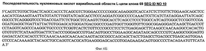 Антитело или его фрагмент, имеющие нейтрализующую активность в отношении вич, но не в отношении il2 (патент 2393873)