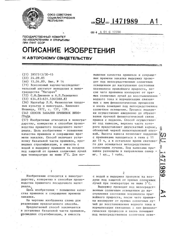 Способ закалки прививок винограда (патент 1471989)