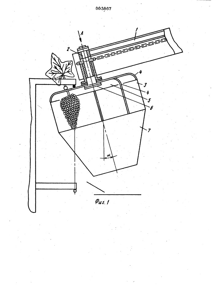Рабочий орган для уборки кистей винограда (патент 993867)