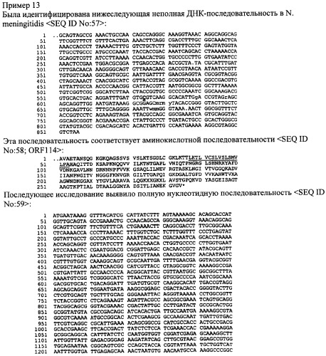 Антигены neisseria meningitidis (патент 2343159)