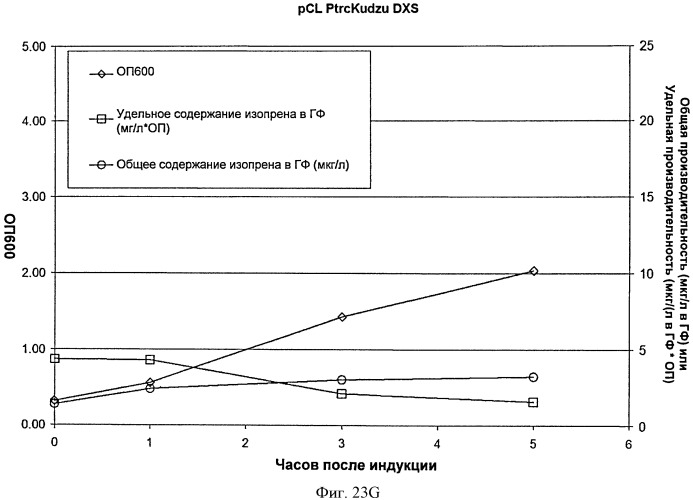 Топливные композиции, содержащие производные изопрена (патент 2531623)
