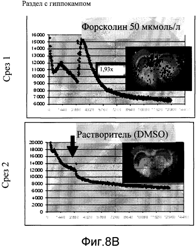 Трансгенное животное, отличное от человека, и его применения (патент 2579701)