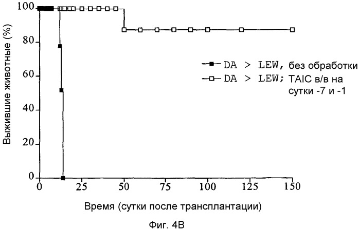 Способ получения индуцирующих воспринимаемость трансплантата клеток моноцитарного происхождения, способ получения фармацевтической композиции для подавления реакций отторжения трансплантата, индуцирующие воспринимаемость трансплантата клетки моноцитарного происхождения, клеточный препарат для индукции воспринимаемости трансплантата, фармацевтическая композиция для подавления реакций отторжения трансплантата, применение индуцирующих воспринимаемость трансплантата клеток (варианты), способ получения и/или размножения регуляторных т-лимфоцитов, гибридомная клеточная линия, антитело и применение антитела (патент 2370535)