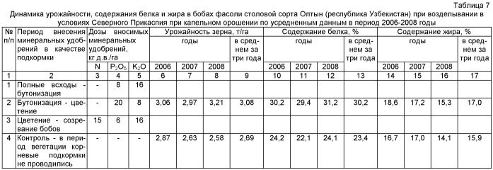 Способ возделывания овощной фасоли в условиях резко континентального климата (патент 2415535)