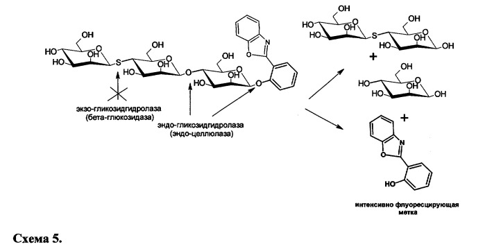Субстраты из класса олигосахаридов для детектирования эндо-гликозидгидролаз в присутствии экзо-действующих ферментов (патент 2378282)