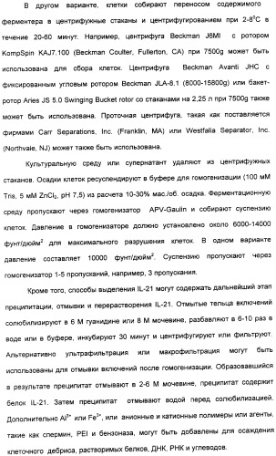 Продуцирование il-21 в прокариотических клетках-хозяевах (патент 2354703)