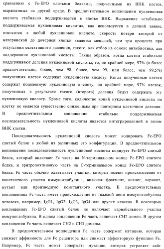 Fc-эритропоэтин слитый белок с улучшенной фармакокинетикой (патент 2370276)