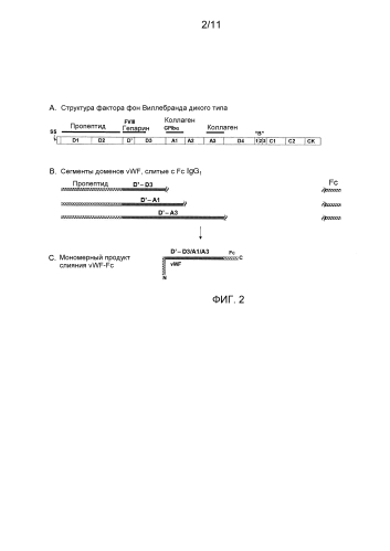 Содержащие фактор фон виллебранда (vwf) препараты и способы, наборы и применения, связанные с ними (патент 2579977)