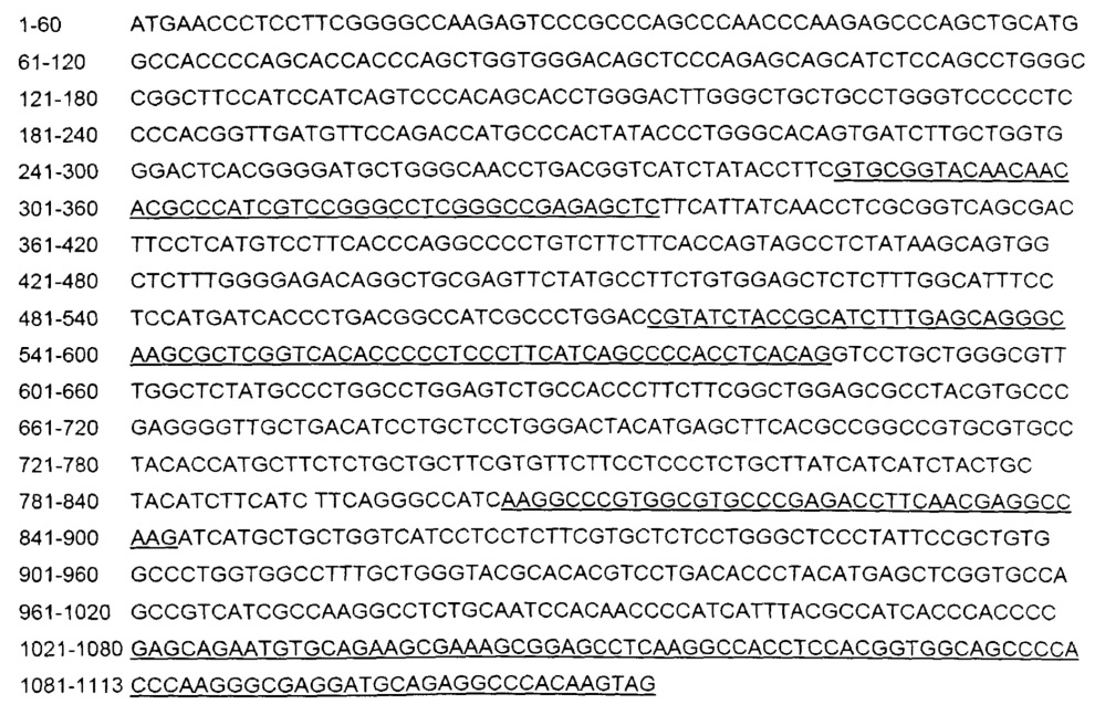 Светочувствительный химерный белок gpcr (патент 2637367)