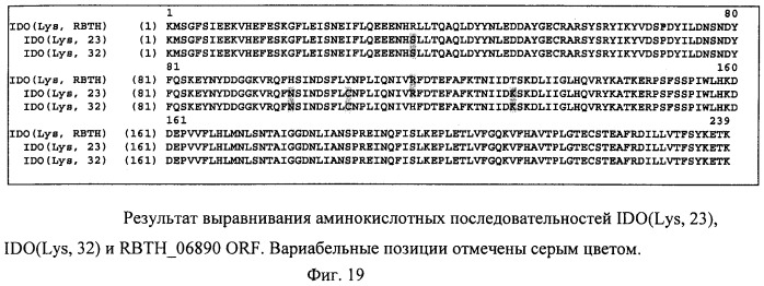 Способ продукции 4-гидрокси-l-изолейцина (патент 2402608)