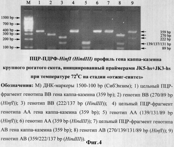 Способ проведения пцр (патент 2299240)