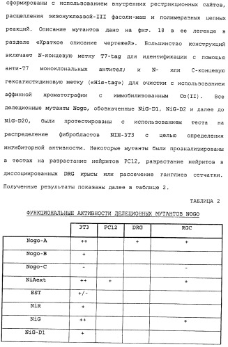 Поликлональное антитело против nogo, фармацевтическая композиция и применение антитела для изготовления лекарственного средства (патент 2432364)