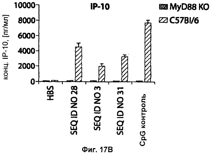 Мотивы последовательности рнк в контексте определенных межнуклеотидных связей, индуцирующие специфические иммуномодулирующие профили (патент 2435851)