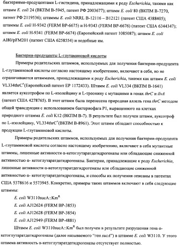 Мутантная iib/iic субъединица глюкозоспецифической пермеазы системы pts, фрагмент днк, бактерия, принадлежащая к роду escherichia, - продуцент l-треонина и способ получения l-треонина (патент 2335536)