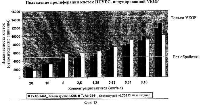 Биспецифические анти-vegf/анти-ang-2 антитела (патент 2542382)