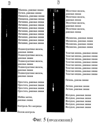 Идентификация опухолевых антигенов для диагностики и терапии (патент 2485974)