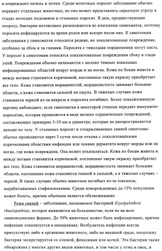 Поливалентные иммуногенные композиции pcv2 и способы получения таких композиций (патент 2488407)