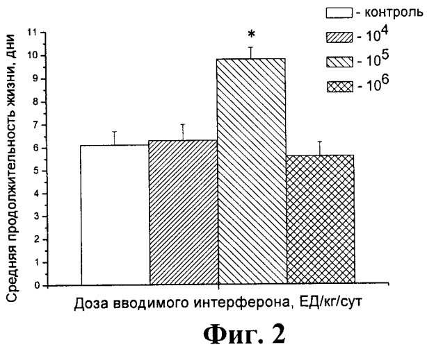 Штамм вируса гриппа а/russia/01/2009-ma субтипа h1n1 для исследования лечебной и профилактической активности противовирусных препаратов in vitro и in vivo (патент 2451072)