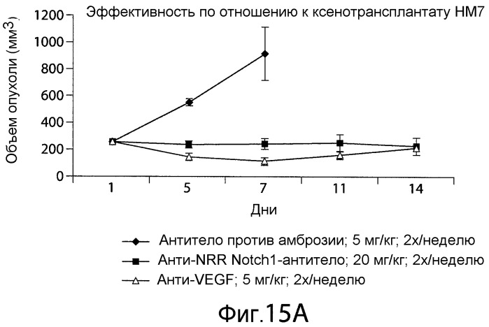 Антитела против nrr notch1 и способы их применения (патент 2476443)