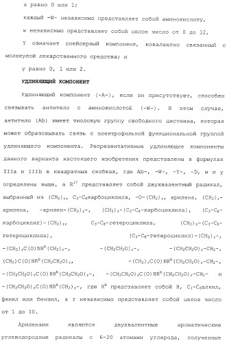 Антитела, сконструированные на основе цистеинов, и их конъюгаты (патент 2412947)