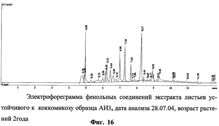 Способ определения устойчивых к коккомикозу форм вишни и черешни (патент 2316951)